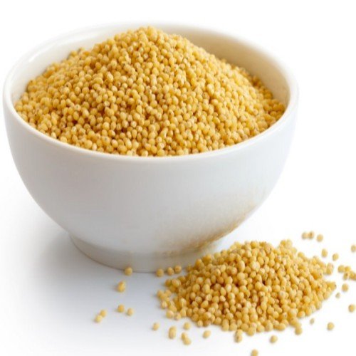 Foxtail Millet